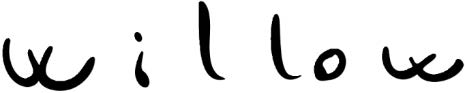 Willow-2021-Eng